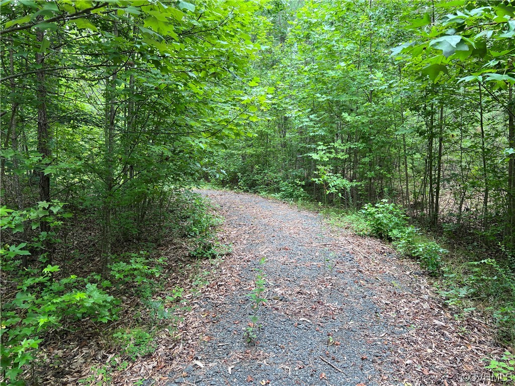 0 Reedy Mill Road Ruther Glen, VA 22546 - Photo 13 of 32 Gallery Image 13