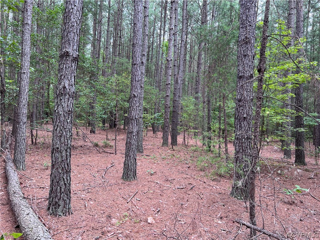 0 Reedy Mill Road Ruther Glen, VA 22546 - Photo 25 of 32 Gallery Image 25