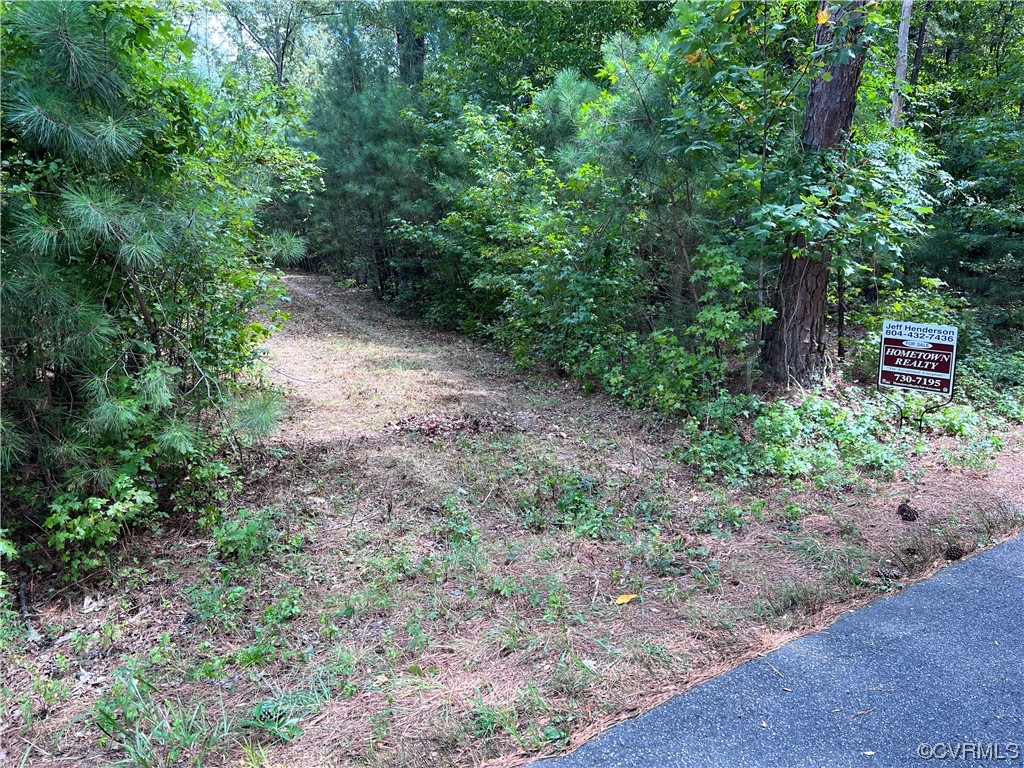 0 Reedy Mill Road Ruther Glen, VA 22546 - Photo 32 of 32 Gallery Image 32