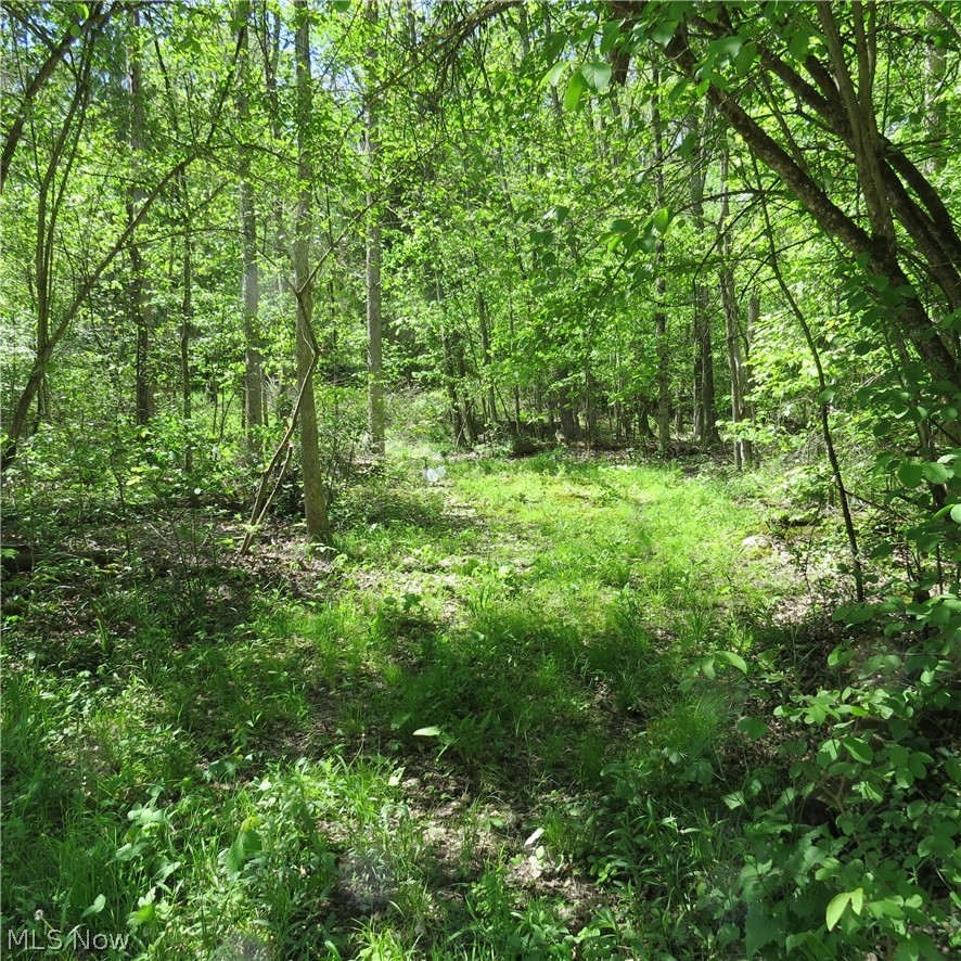 Montero Road Northeast Carrollton, OH 44615 - Photo 10 of 12