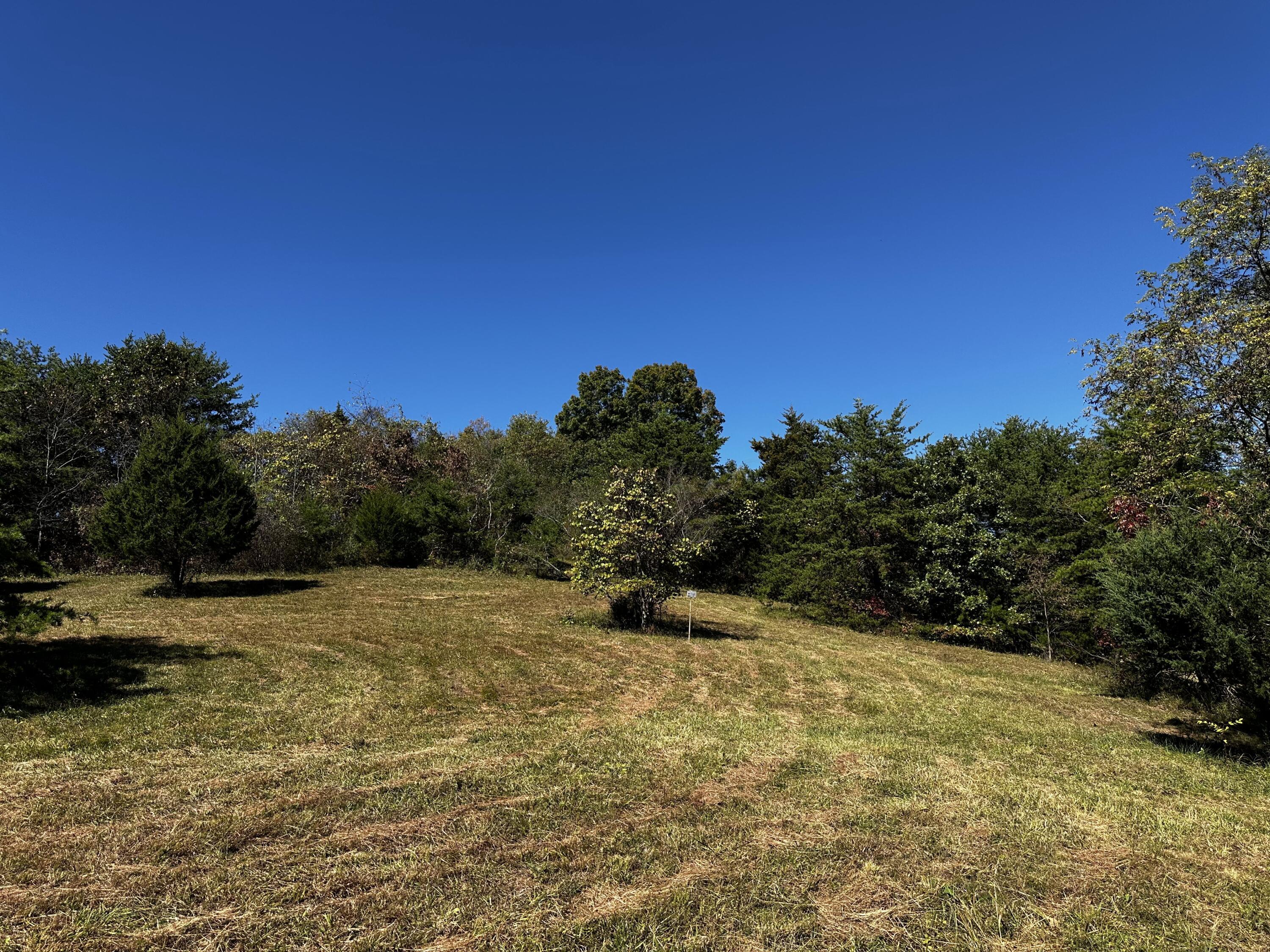865 Hull Road, Unit TRACT 13 WOODS WAYNE FOREST) Patriot, OH 45658 - Photo 53 of 57 20241008_180659175_iOS