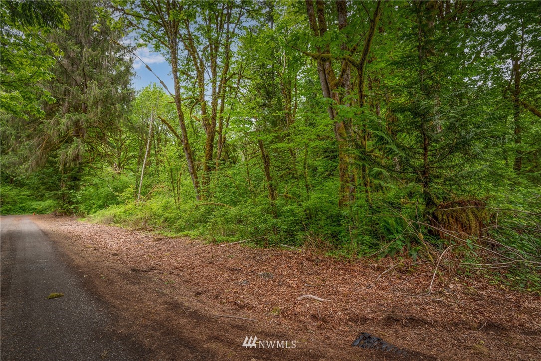 6120 Rutsatz Road Deming, WA 98244 - Photo 1 of 6