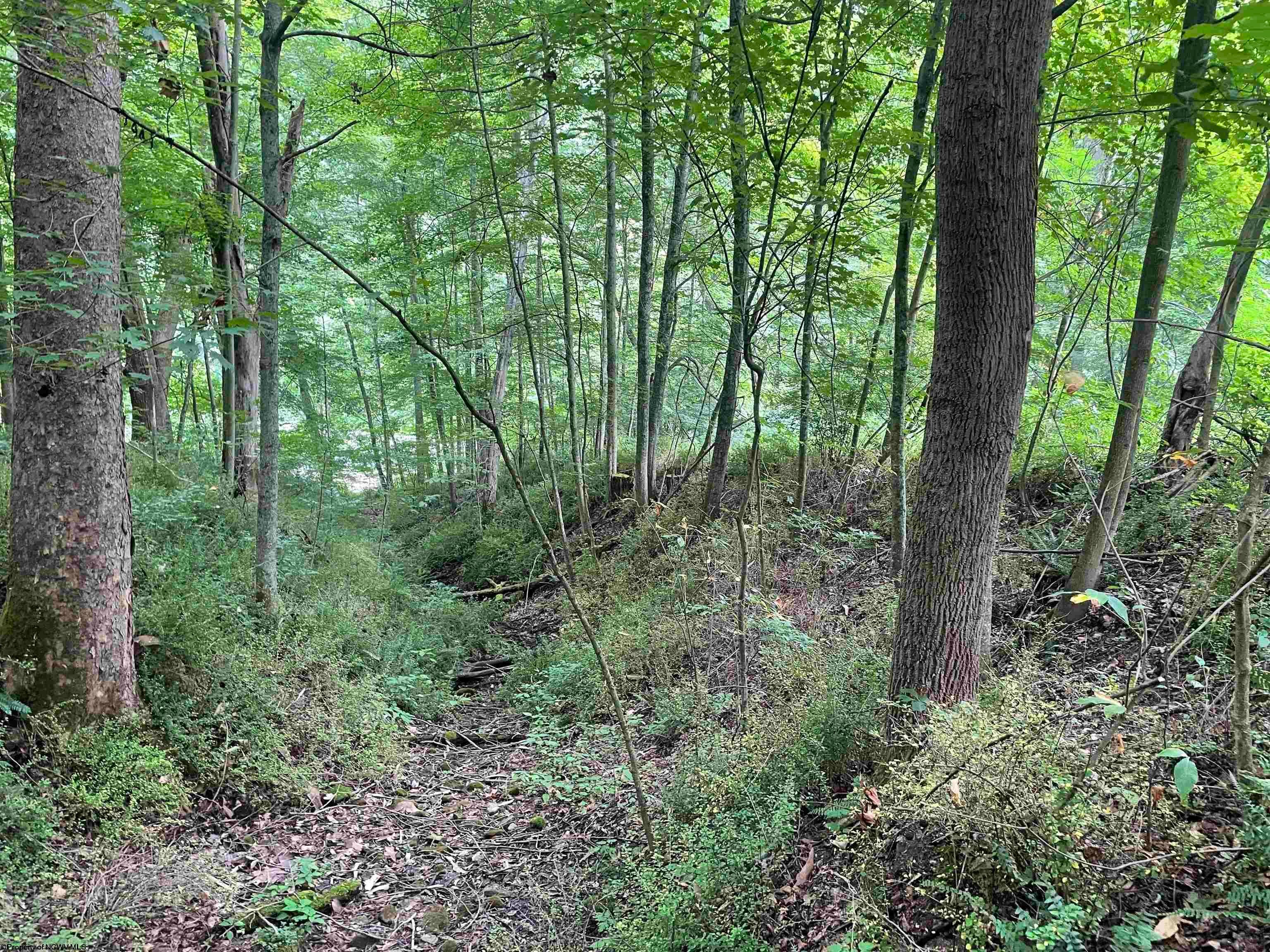 Tbd Little Mill Fall Road Fairmont, WV 26554 - Photo 17 of 20 Gallery Image 17