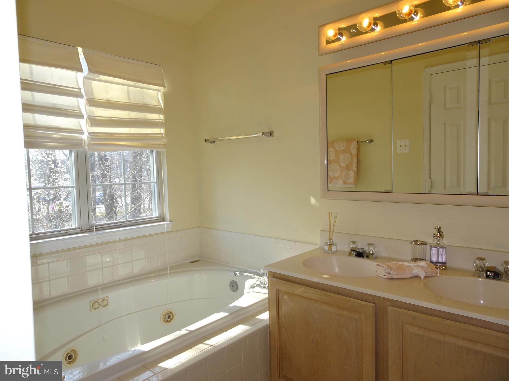 11240 Watermill Lane Silver Spring, MD 20902 - Photo 16 of 19 Master Bath With Whirlpool Tub