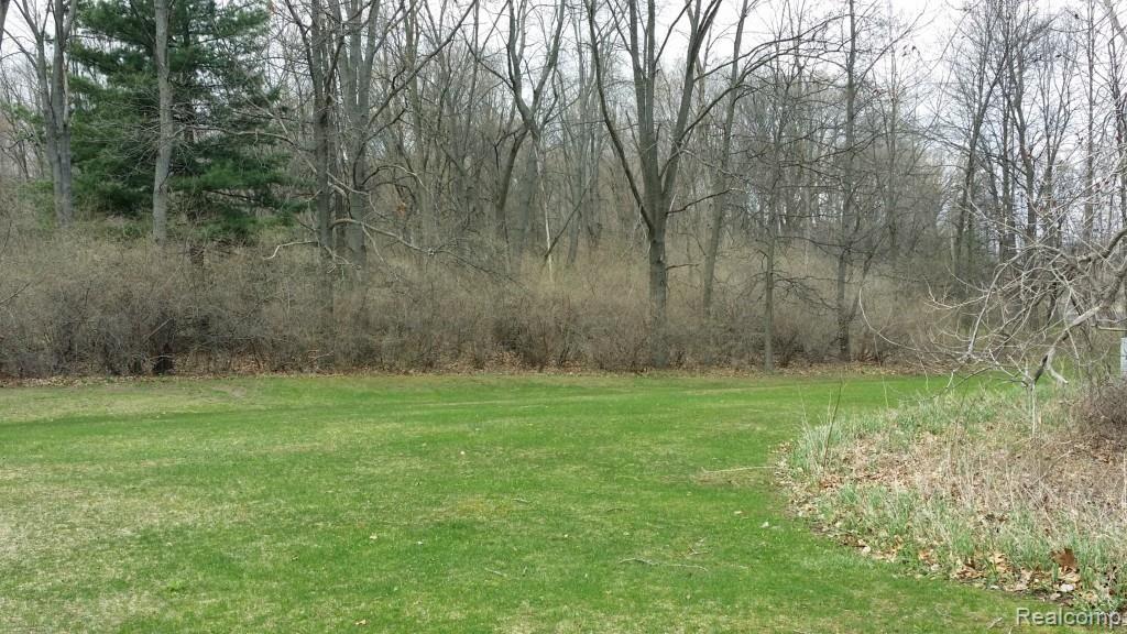 SWARTHOUT LAND SPRING.jpg