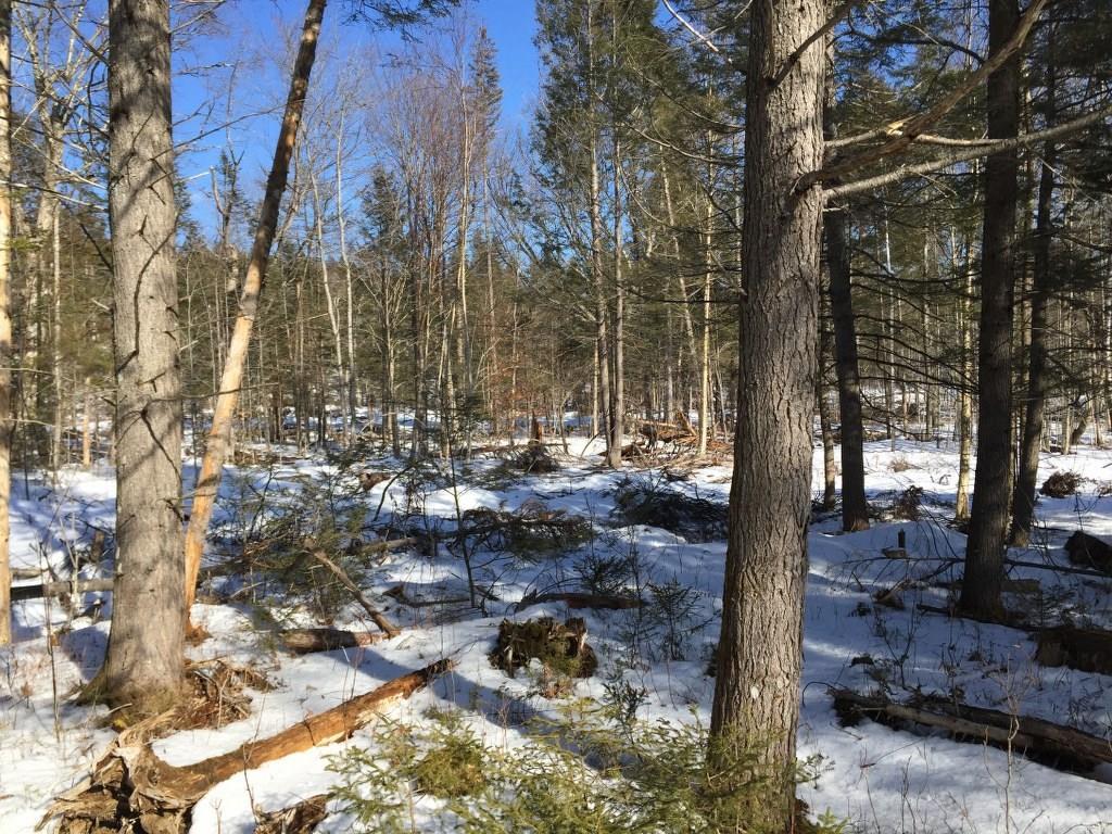 2 Hanover Me 04237 Hanover, ME 04237 - Photo 12 of 30 Photo
