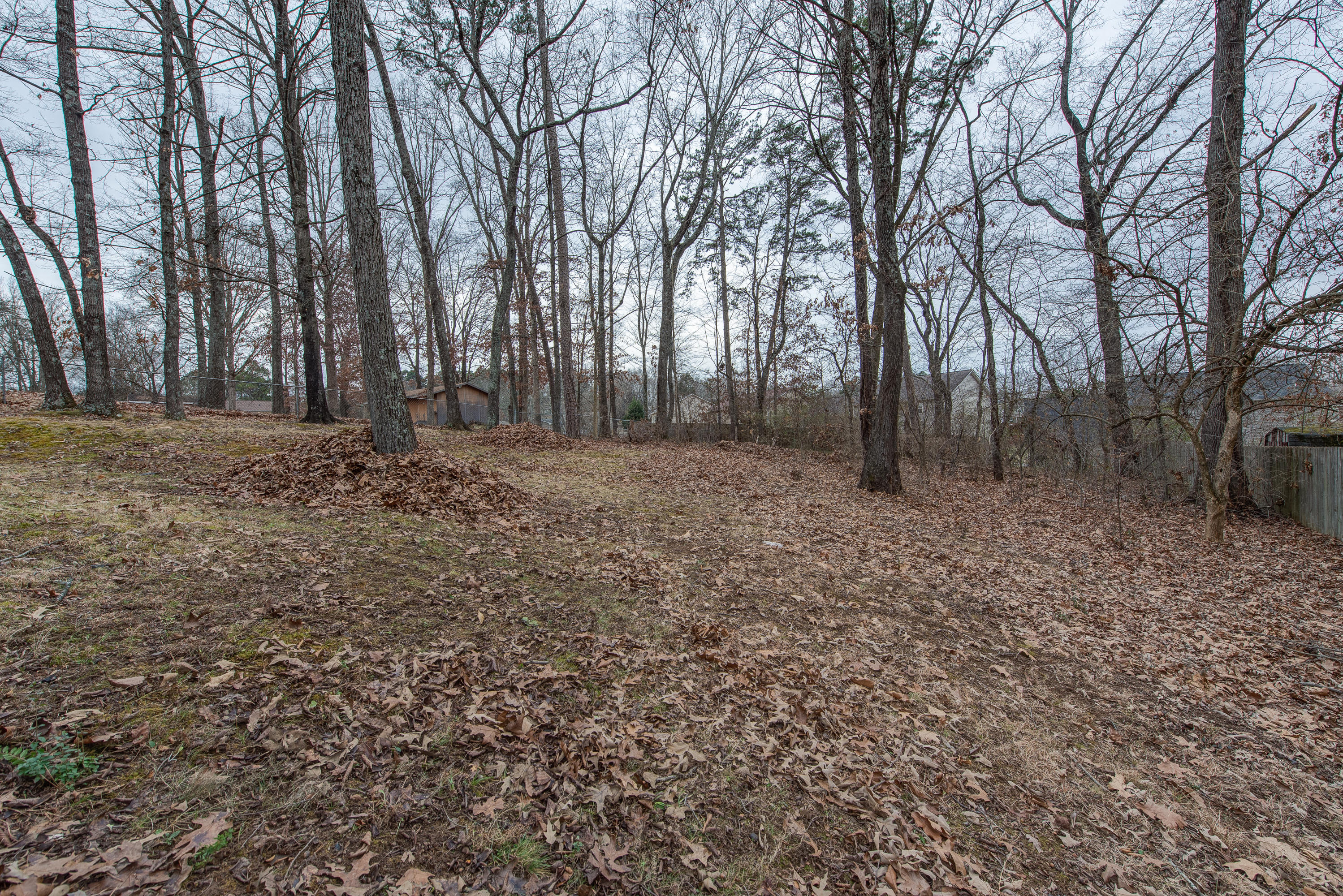 3247 Dewine Road Knoxville, TN 37921 - Photo 14 of 22 3427 Dewine Rd-22