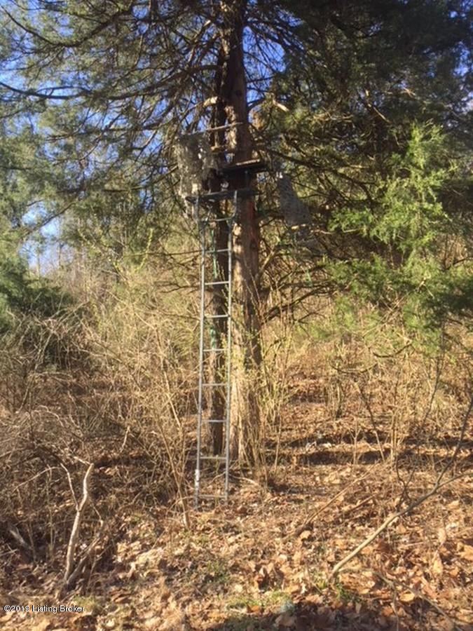 1600 Warren Purcell Road Leitchfield, KY 42754 - Photo 18 of 34 Warren Percell 18