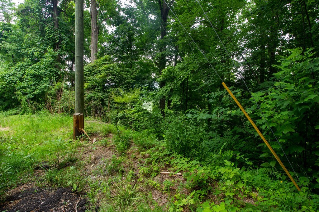 13 Sugar Maple Loop Road Sevierville, TN 37862 - Photo 3 of 15