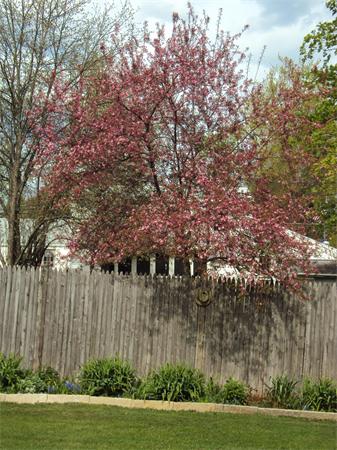 11 Florence Street Littleton, MA 01460 - Photo 20 of 30