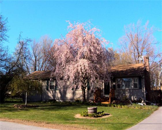 11 Florence Street Littleton, MA 01460 - Photo 2 of 30