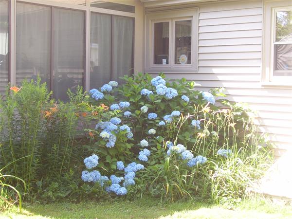 11 Florence Street Littleton, MA 01460 - Photo 22 of 30