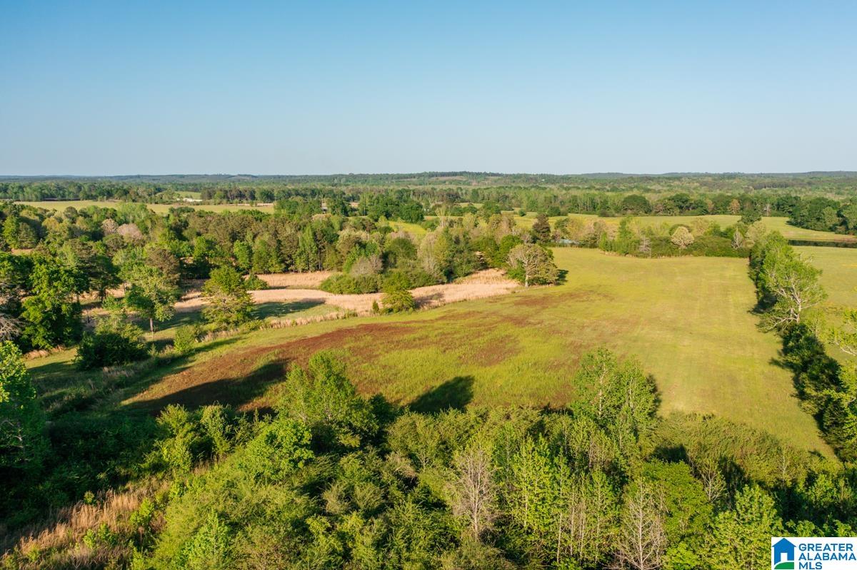 1820 County Road 3 Reform, AL 35481 - Photo 6 of 8