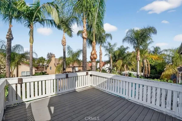 a view of a palm trees