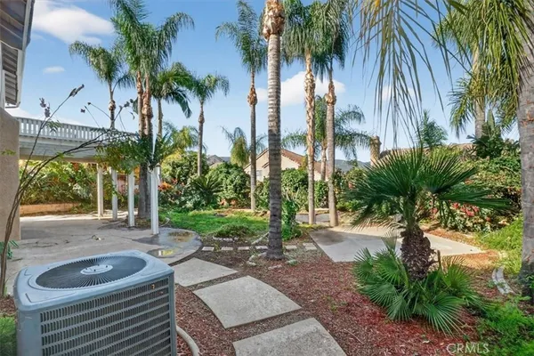 an outdoor space with plants