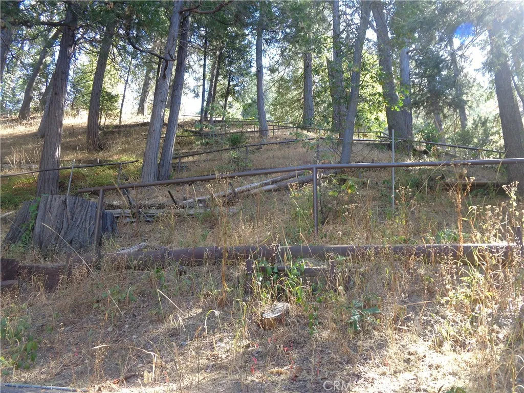 24273 Horst Drive Crestline, CA 92325 - Photo 20 of 34 a view of lake with trees