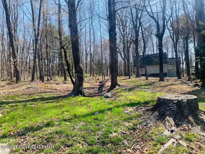 2317 Locust Ridge Road Pocono Lake, PA 18347 - Photo 48 of 49 a view of a backyard with large trees