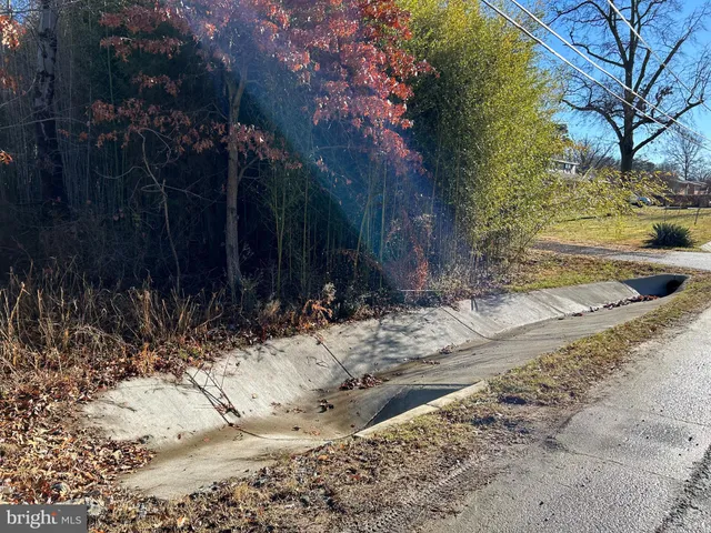 a view of a yard covered with snow on the road