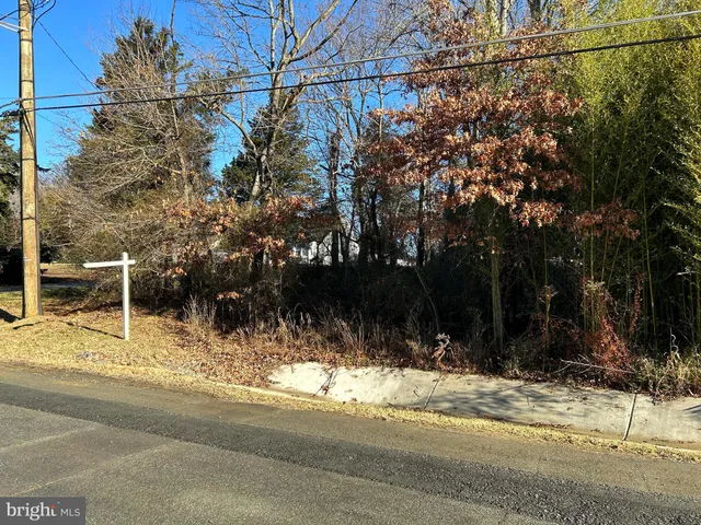 a view of a yard next to a house