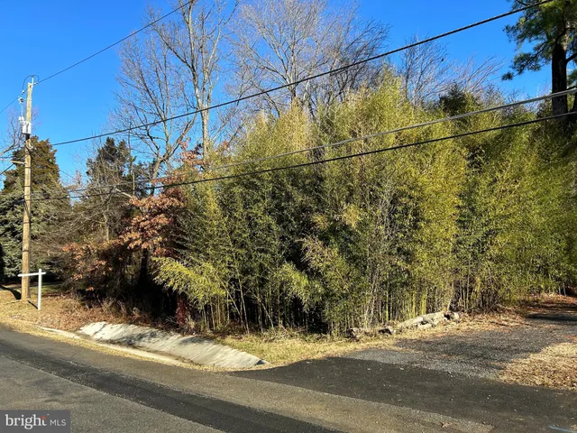 a view of a yard with trees