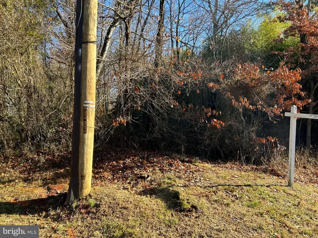 a view of a yard with plants and trees