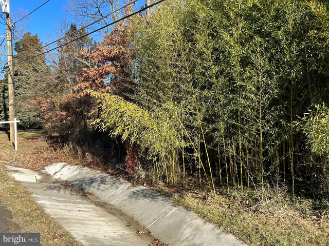 a view of a yard with plants and trees