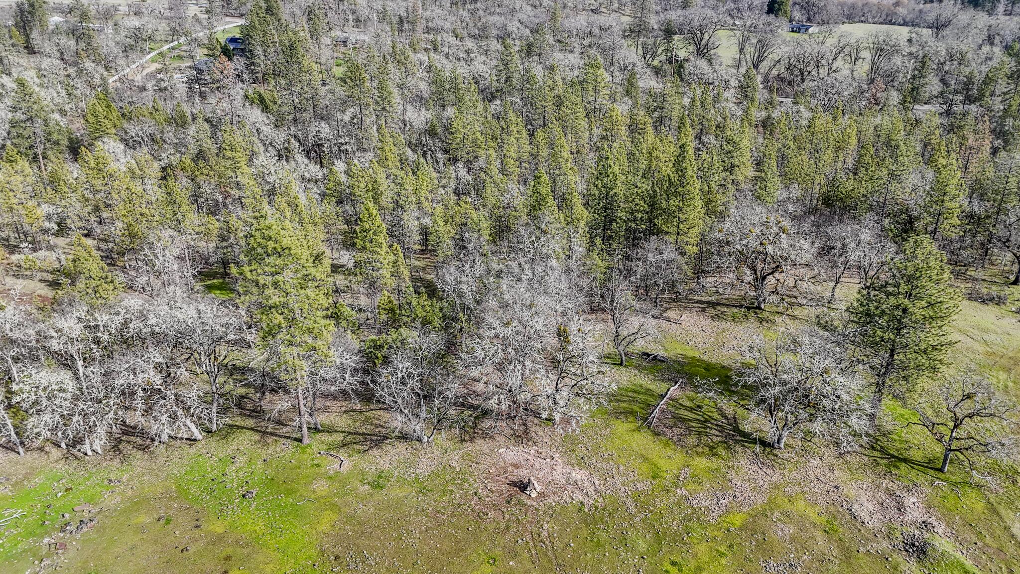 506 Greenleaf Drive Eagle Point, OR 97524 - Photo 19 of 38 DJI_20260227140257_0535_D-HDR
