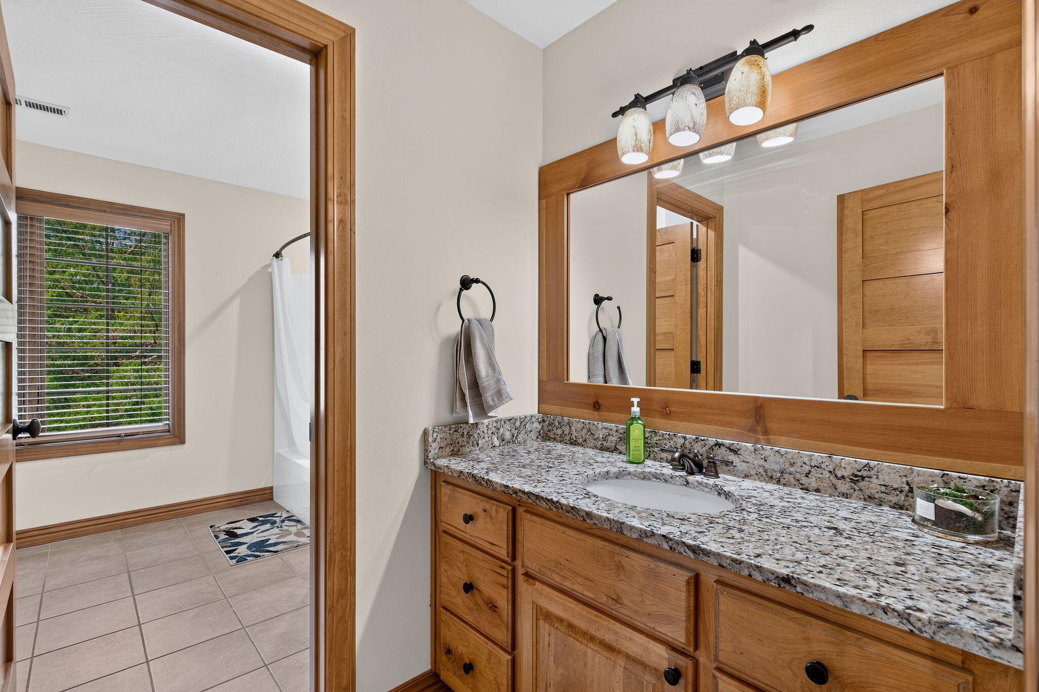 330 River Rock Road Ozark, MO 65721 - Photo 33 of 74 35-web-or-mls-DSC02841