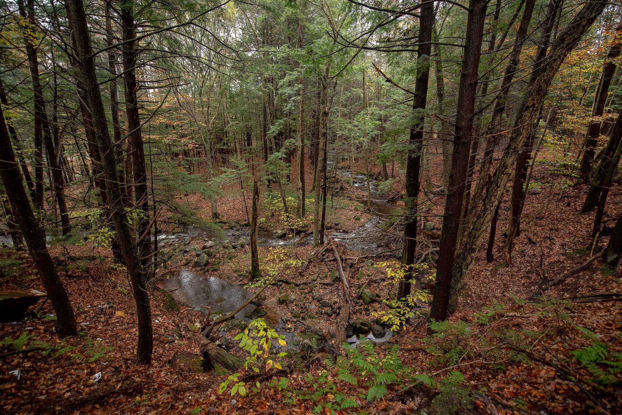 103 West Joppa Road Warner, NH 03278 - Photo 21 of 27 Gallery Image 21