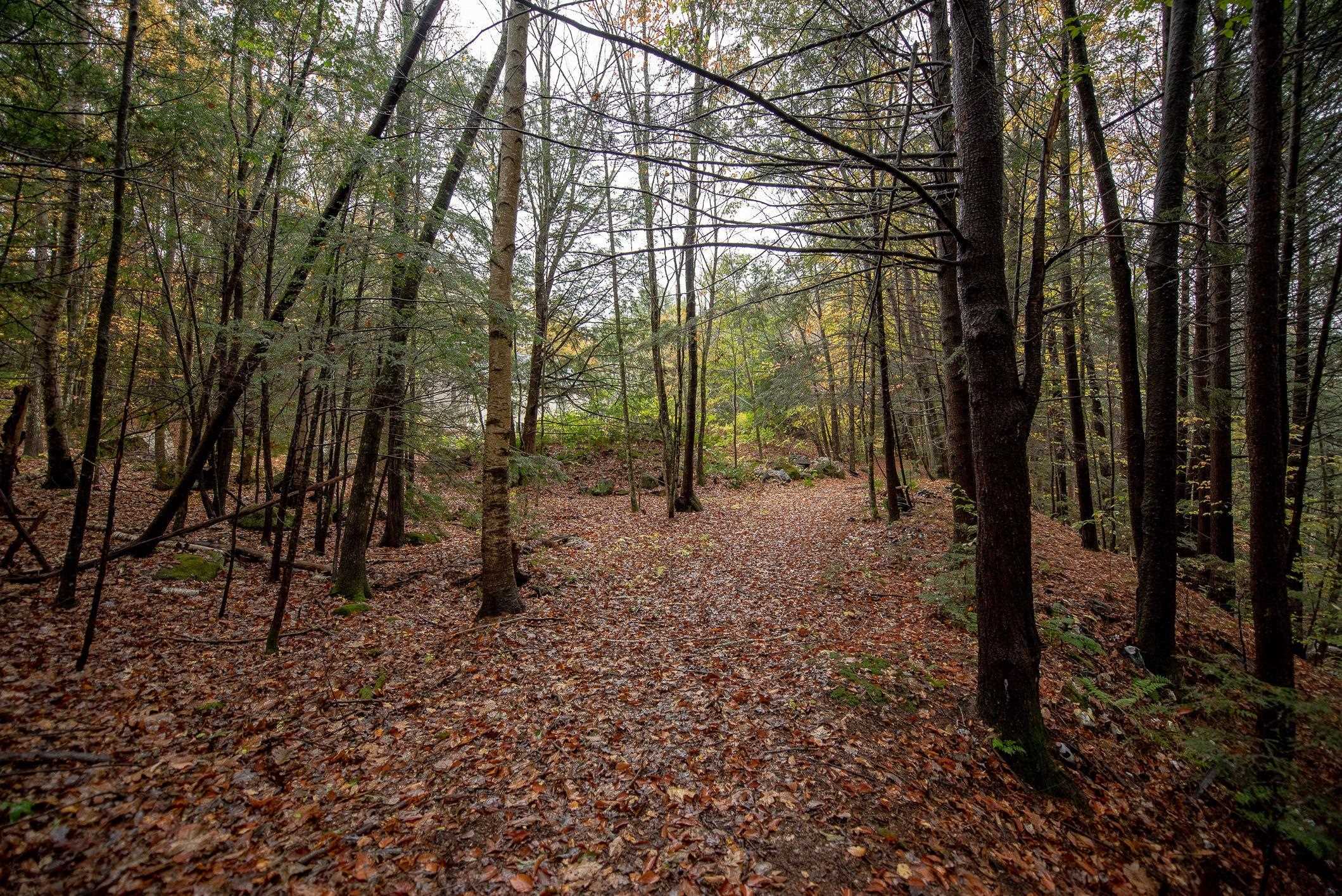 103 West Joppa Road Warner, NH 03278 - Photo 23 of 27 Gallery Image 23