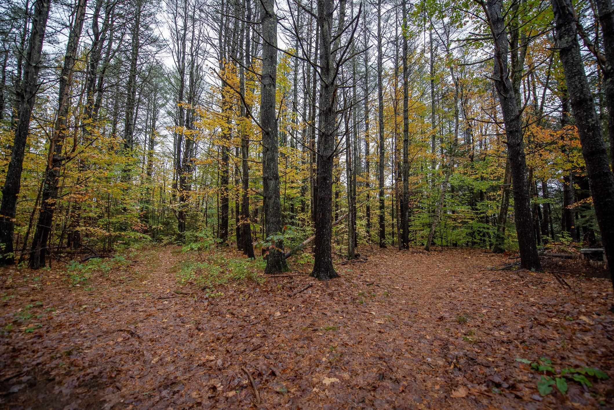 103 West Joppa Road Warner, NH 03278 - Photo 26 of 27 Gallery Image 26