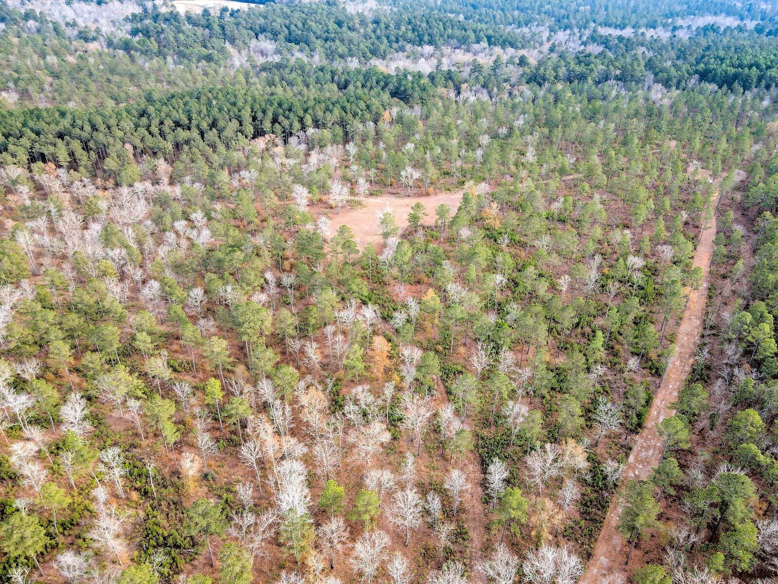 0 Deer Run Road, Unit B Williston, SC 29853 - Photo 6 of 19 Gallery Image 6