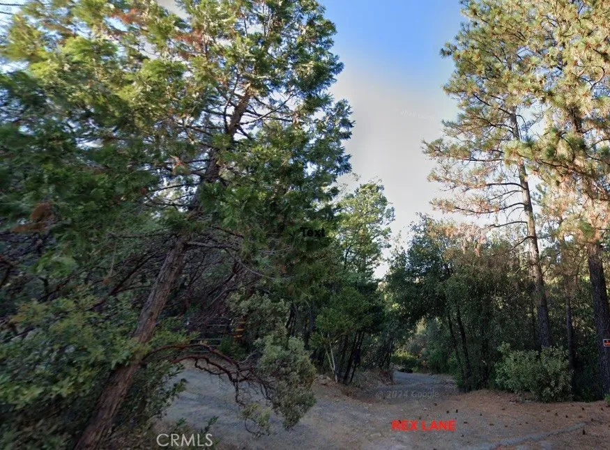 0 Rex Oroville, CA 95966 - Photo 1 of 1 a backyard of a house with lots of trees