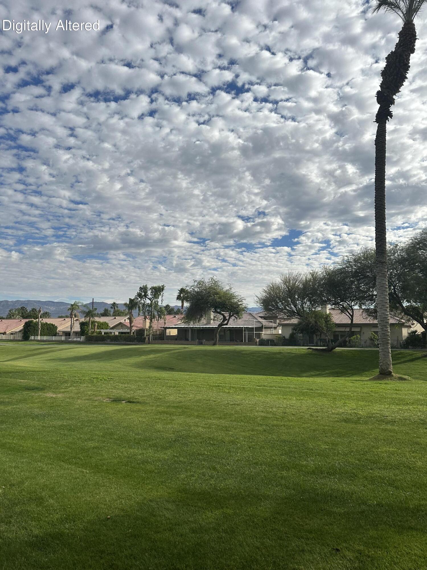 49418 Wayne Street Indio, CA 92201 - Photo 22 of 22 a view of a big yard with a large trees