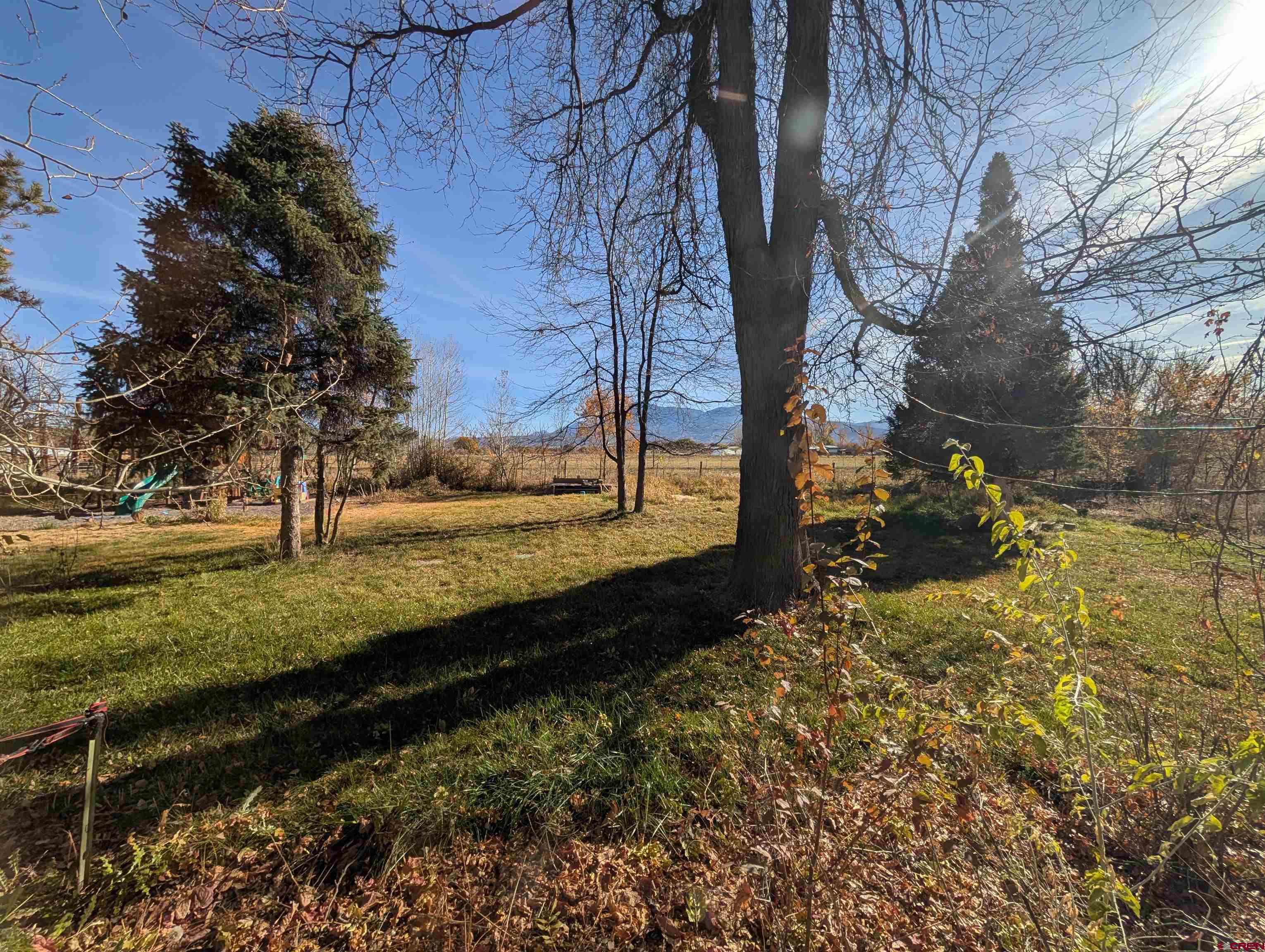 10944 3500th Road Hotchkiss, CO 81419 - Photo 27 of 45