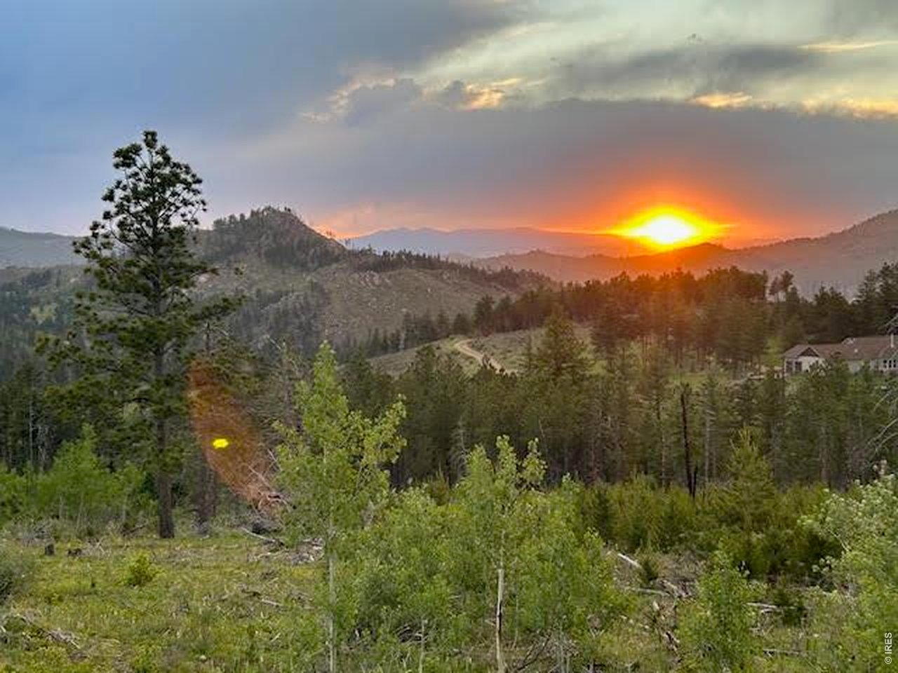 892 Stratton Park Road Bellvue, CO 80512 - Photo 1 of 27 a view of a city with lush green forest