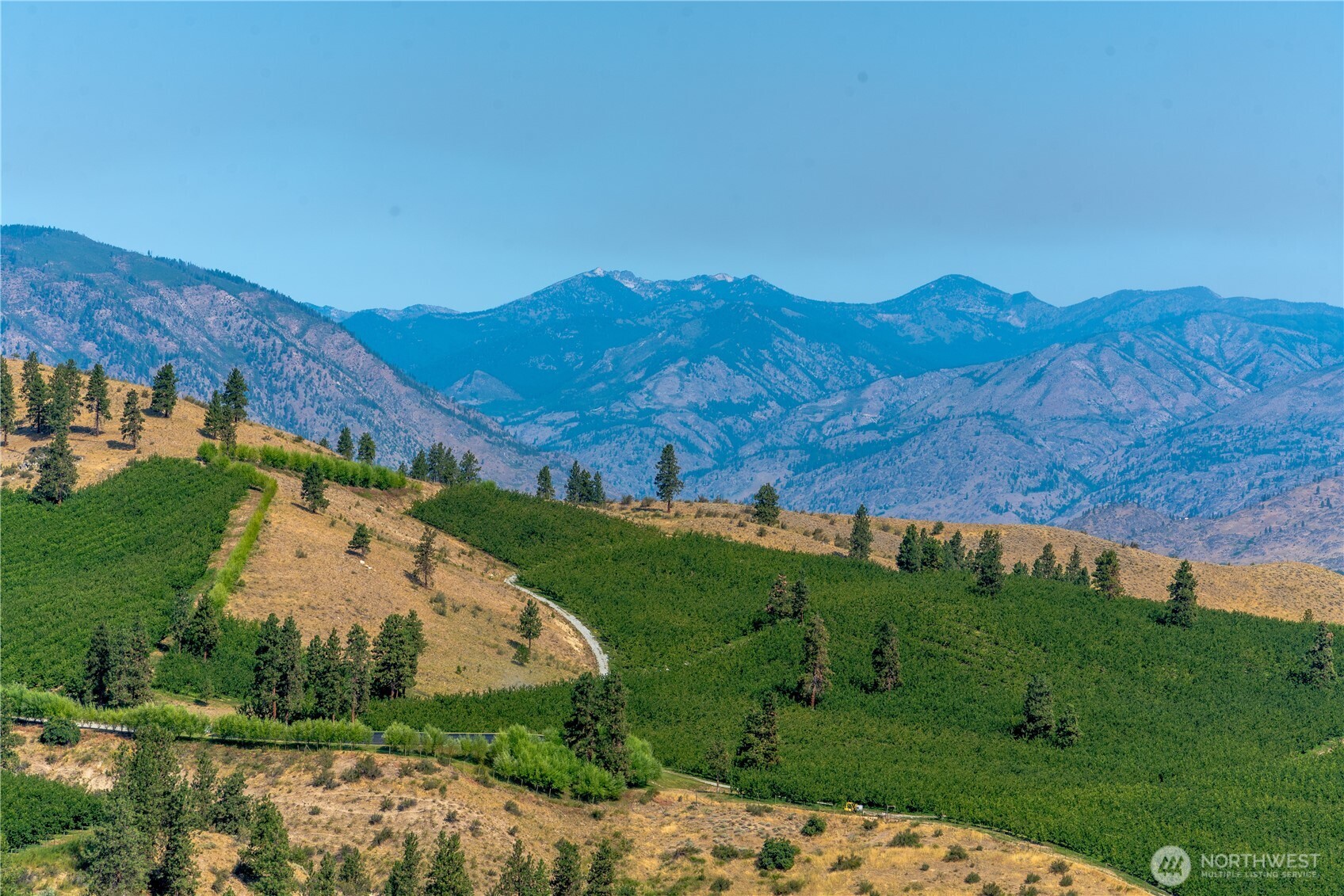 322 Paintbrush Road Chelan, WA 98816 - Photo 17 of 26 a view of a lush green hillside and houses