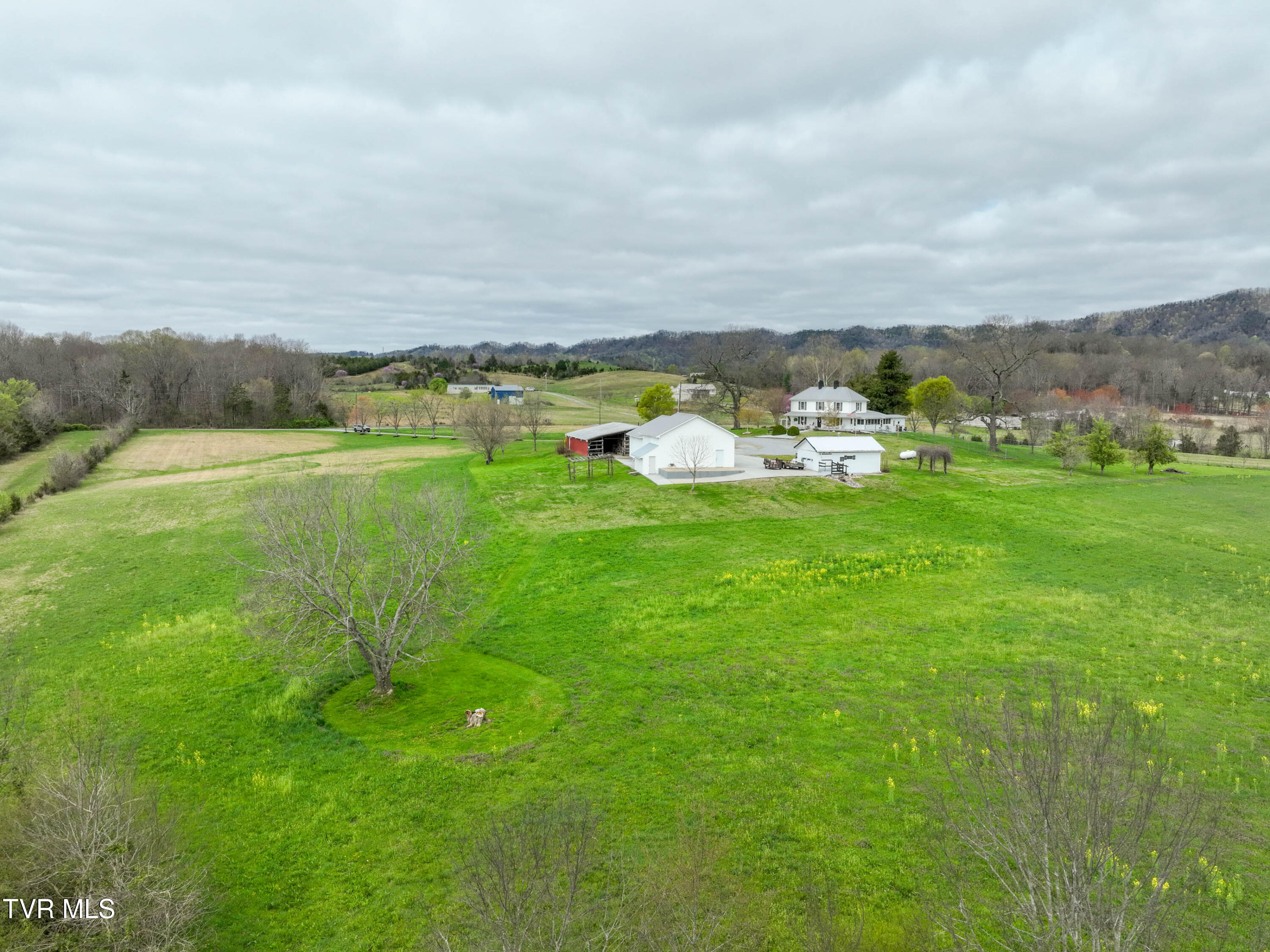 1000 Kite Road Greeneville, TN 37745 - Photo 55 of 57 54