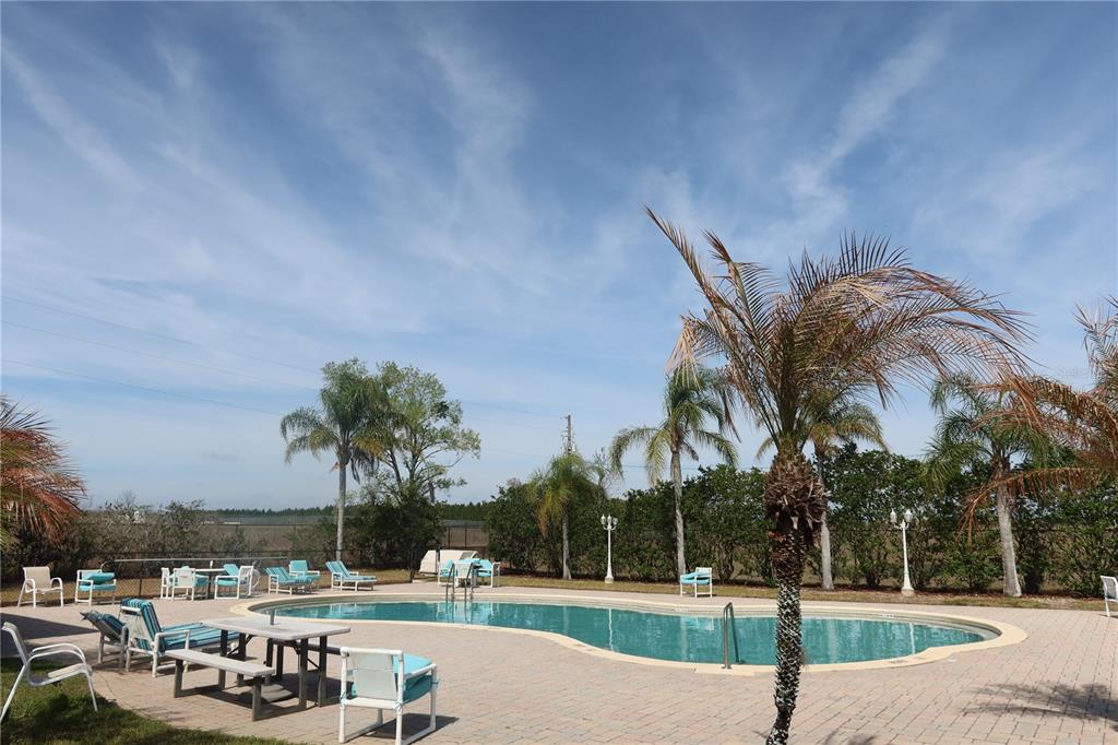 25157 Buttonwood Drive Astatula, FL 34705 - Photo 13 of 14