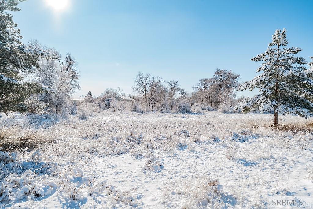 6 East 300 North Rigby, ID 83442 - Photo 6 of 10