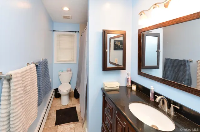 a bathroom with a sink toilet a mirror and vanity