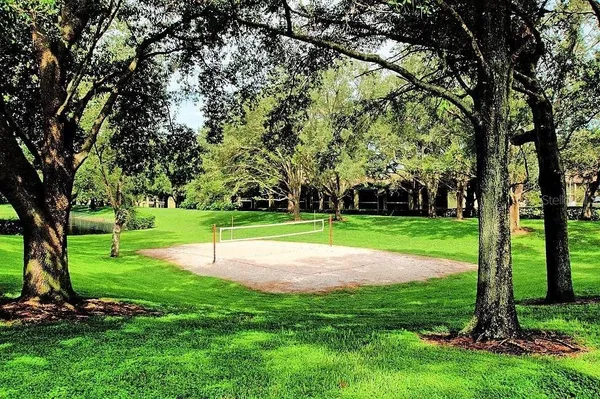 a view of a garden with a bench
