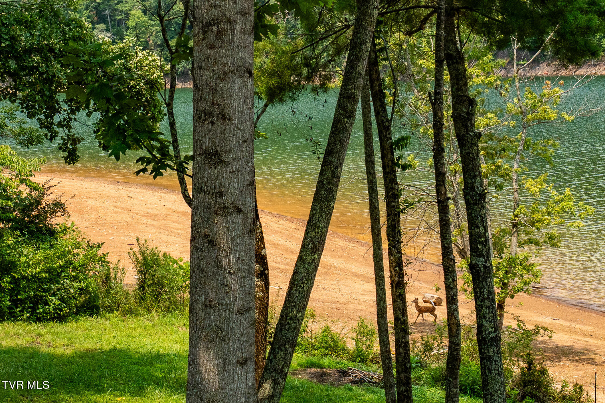 2288 Norris Road Butler, TN 37640 - Photo 114 of 134 2288 Norris Rd (84 of 145)