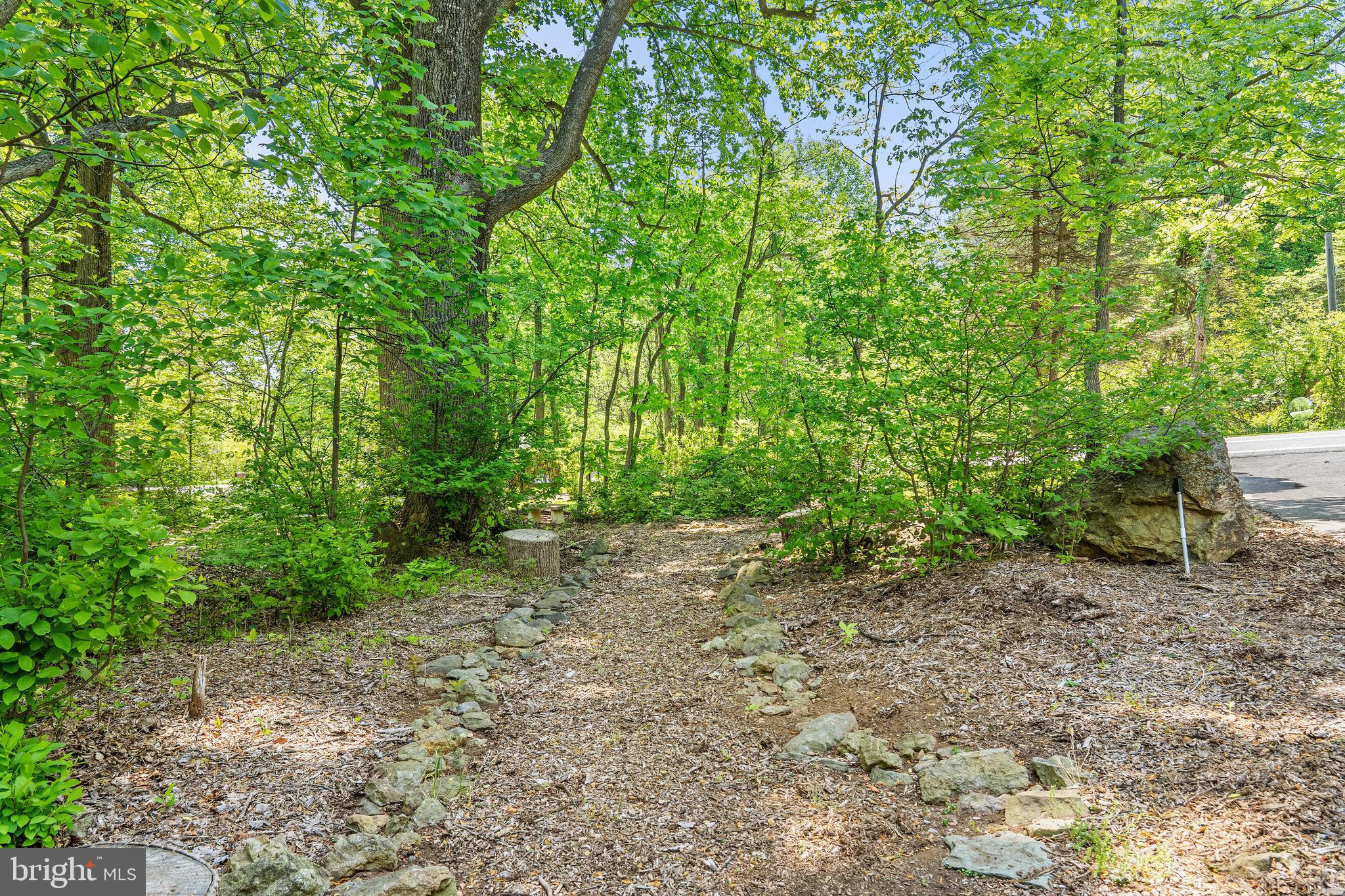 19315 Blue Ridge Mountain Road Bluemont, VA 20135 - Photo 12 of 75 Walking trails