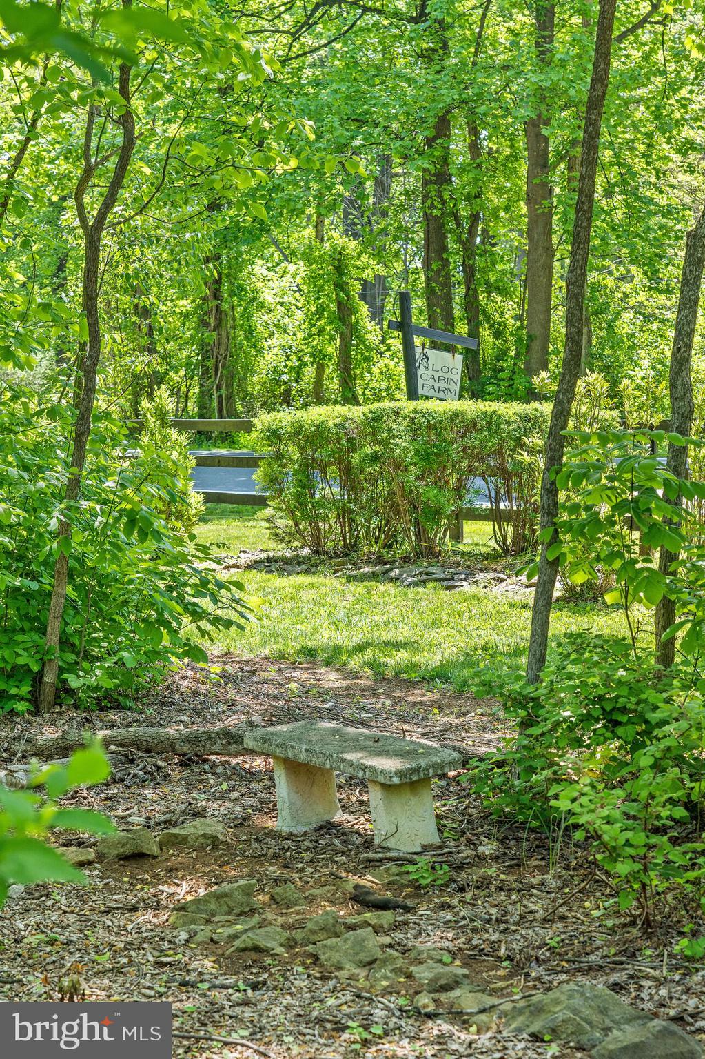 19315 Blue Ridge Mountain Road Bluemont, VA 20135 - Photo 14 of 75 Gallery Image 14