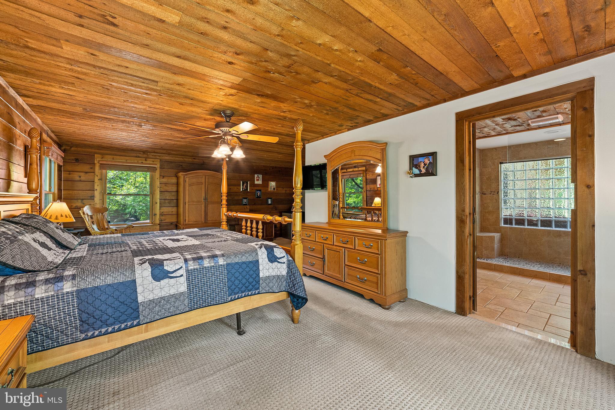 19315 Blue Ridge Mountain Road Bluemont, VA 20135 - Photo 26 of 75 Gallery Image 26