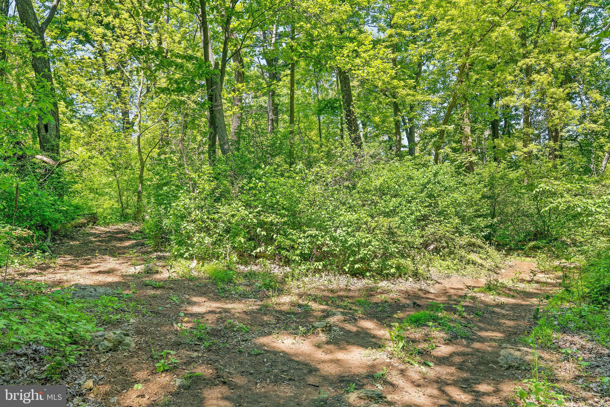 19315 Blue Ridge Mountain Road Bluemont, VA 20135 - Photo 71 of 75 Gallery Image 71