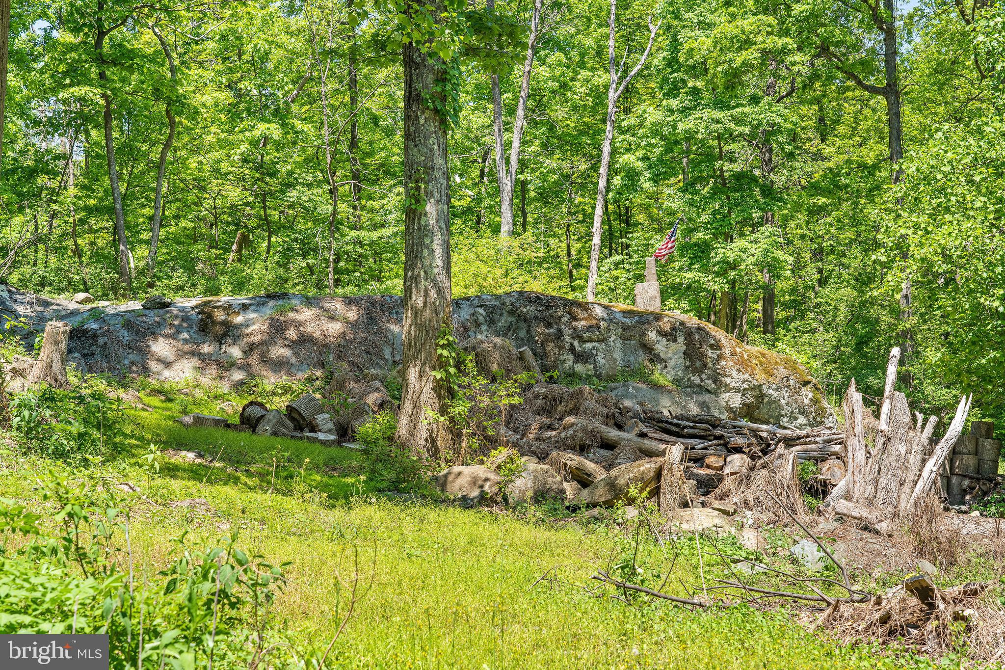 19315 Blue Ridge Mountain Road Bluemont, VA 20135 - Photo 72 of 75 Rock out-croppings