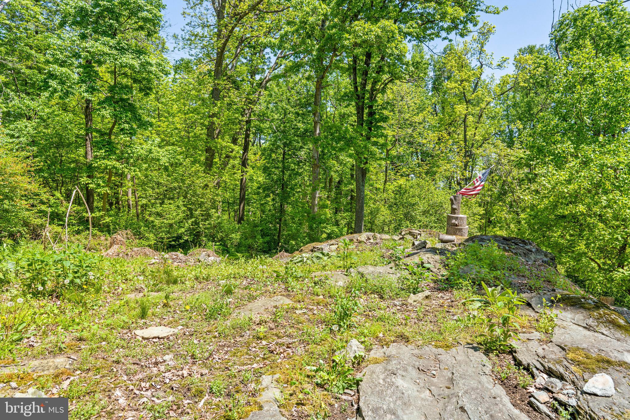 19315 Blue Ridge Mountain Road Bluemont, VA 20135 - Photo 73 of 75 Gallery Image 73