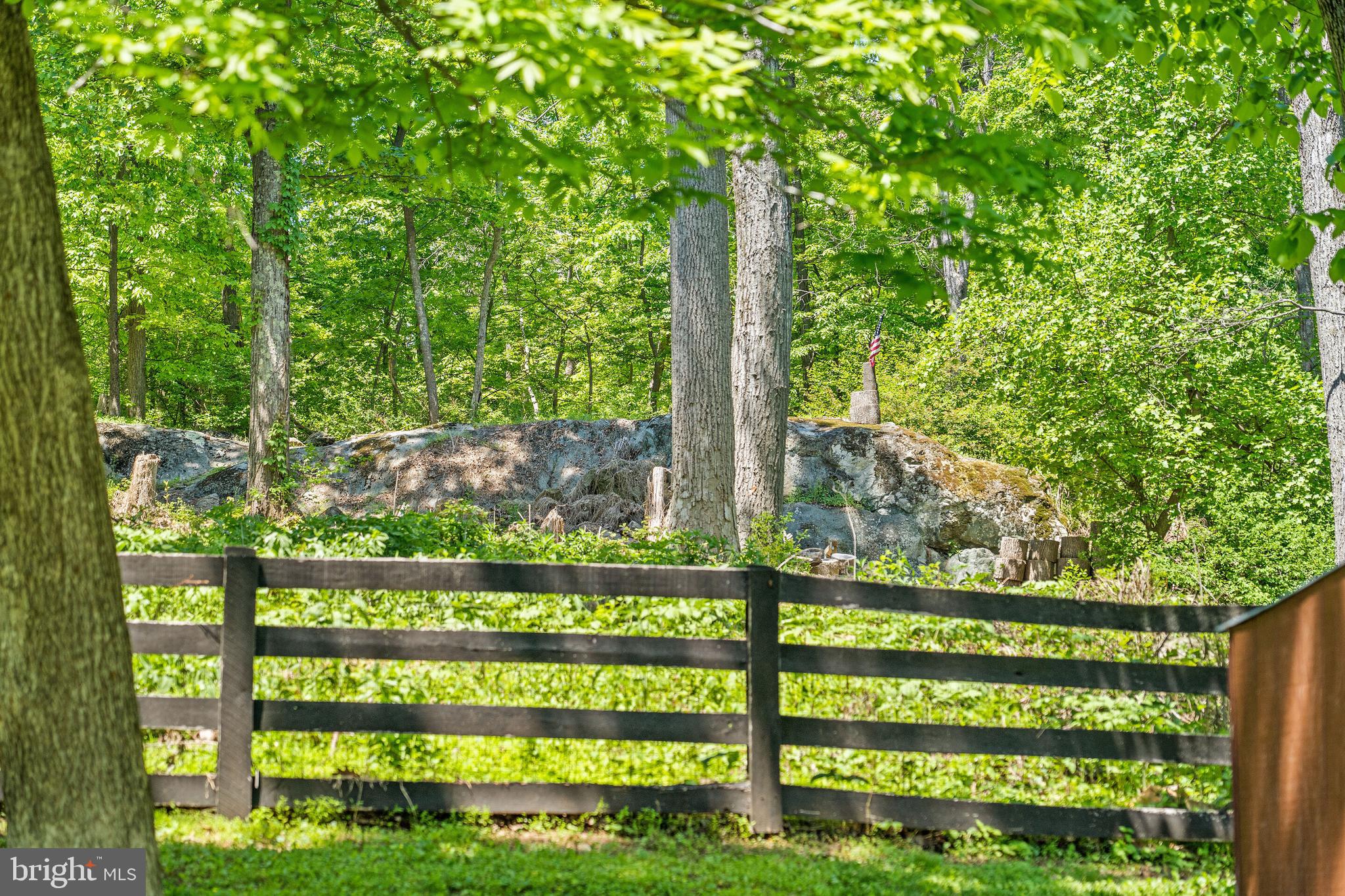 19315 Blue Ridge Mountain Road Bluemont, VA 20135 - Photo 75 of 75 Gallery Image 75